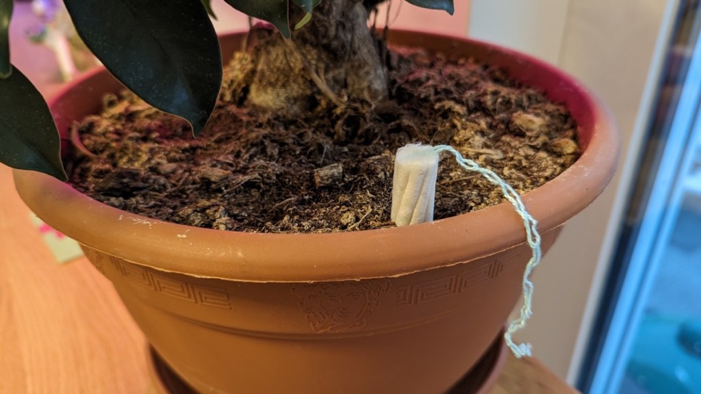 Tampon in Blumenerde