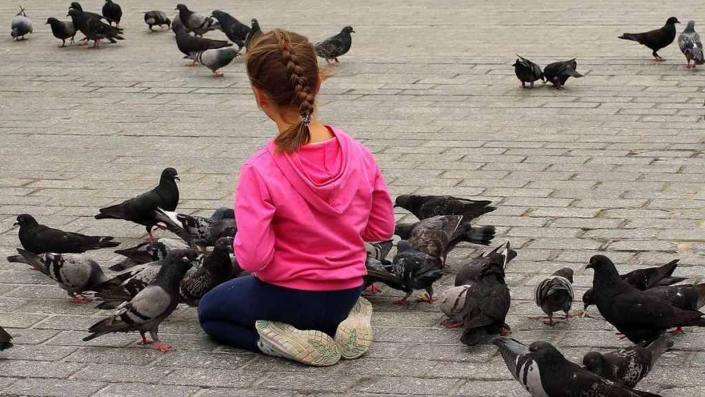 Ein kleines Mädchen sitzt auf einer gepflasterten Straße und füttert Tauben.