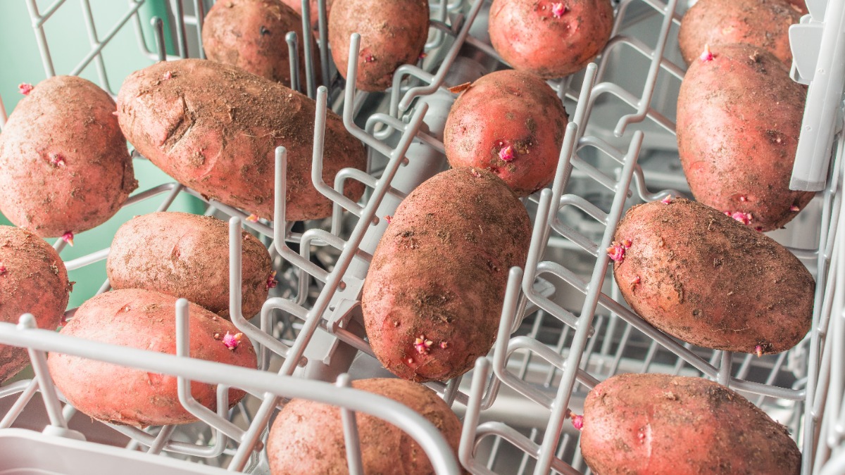 Kartoffeln liegen im oberen Korb der Spülmaschine