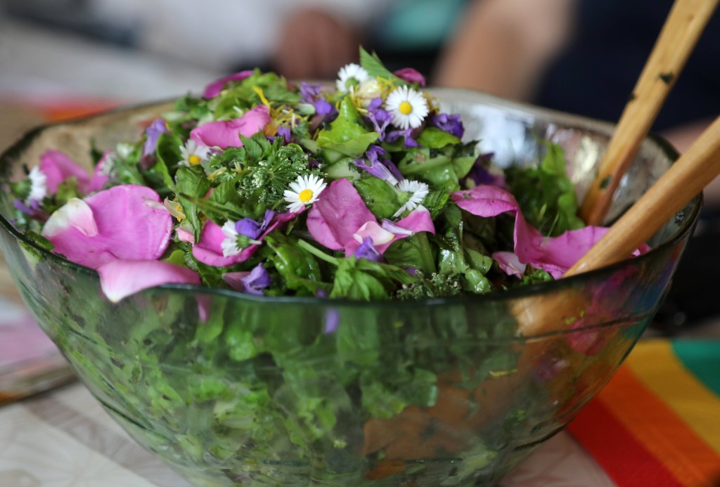 Salat mit Gänseblümchen