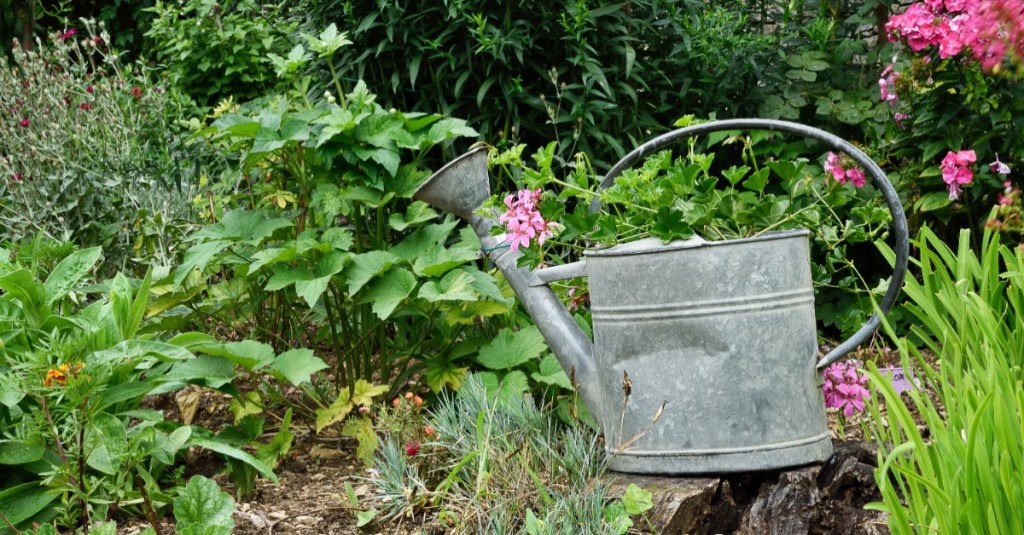 Zinngießkanne in einem Blumenbeet