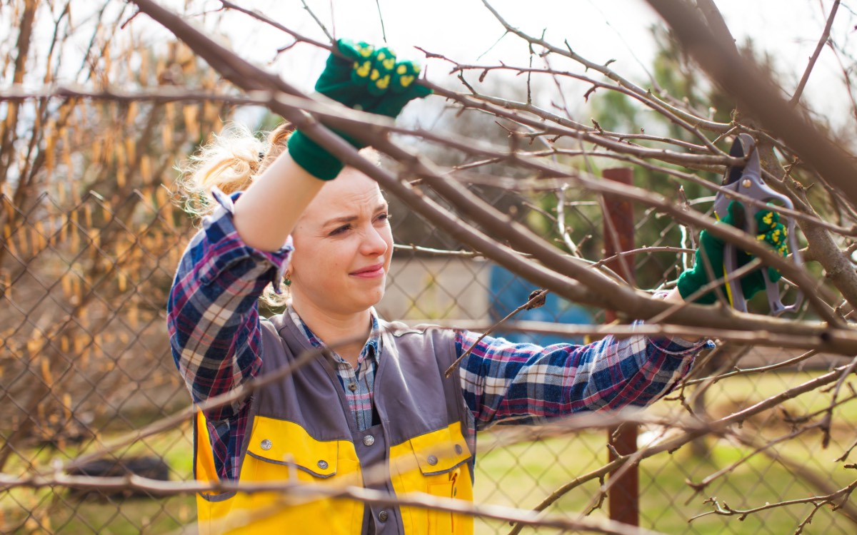 Ein Foto zeigt eine professionelle, junge Gärtnerin beim Sträucher schneiden in einem Garten im Frühjahr.