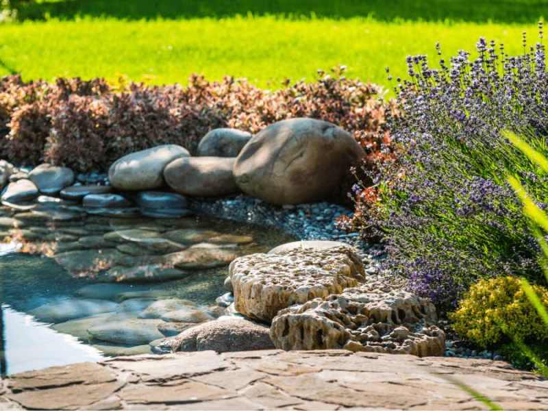 Ein Gartenteich in einem Garten.