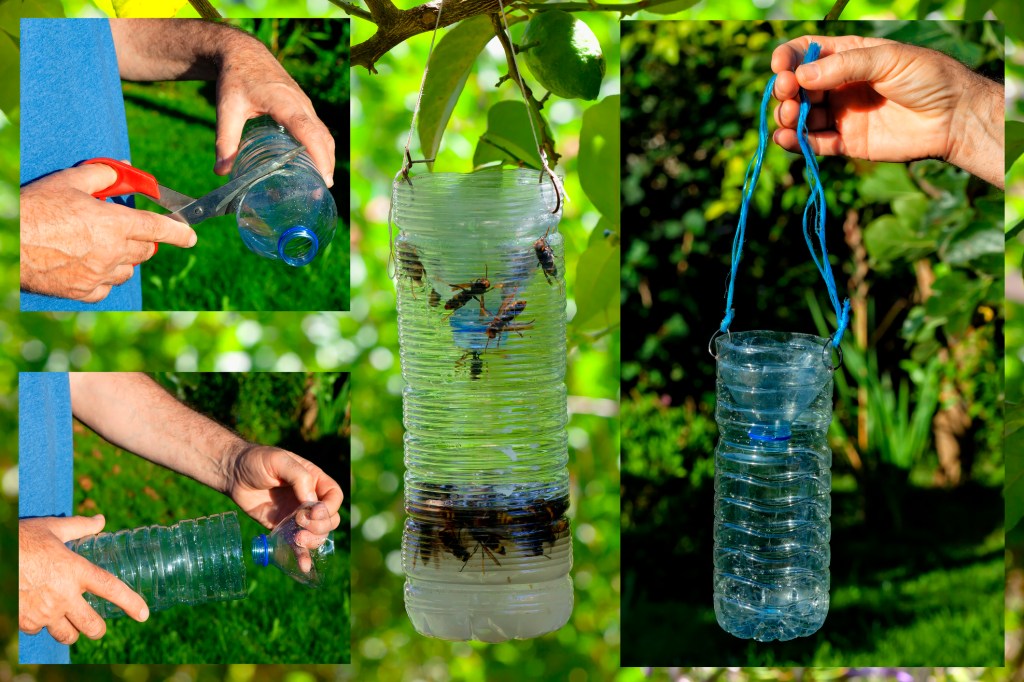 Verschiedene Bilder vom Herstellungsprozess einer Wespenfalle aus einer Plastikflasche.