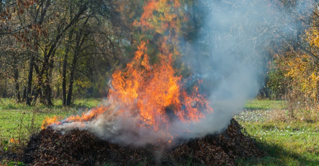 Im Garten werden Pflanzabfäller verbrannt.