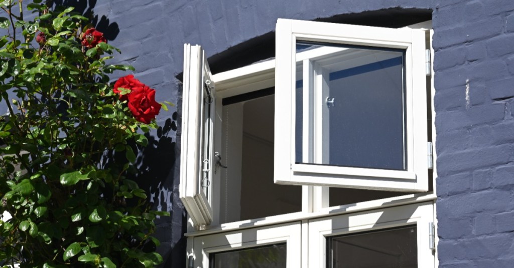 Geöffnetes Fensteroberlicht in grauer Hausfassade mit leuchtend roten Kletterrosen