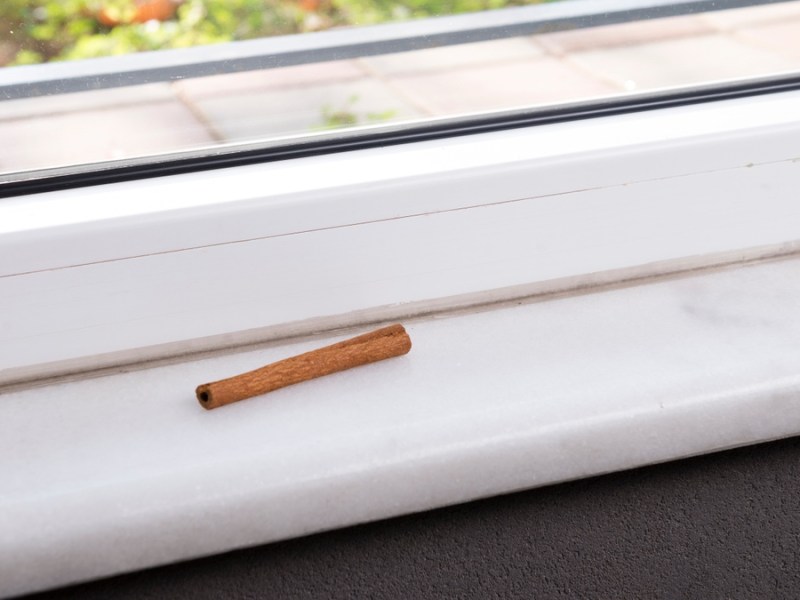 Zimtstange liegt auf einem Fensterbrett.