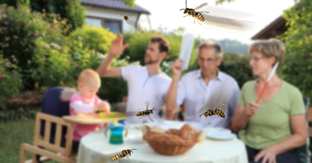 Eine Familie sitzt im Garten und wird beim Essen von Wespen geplagt.