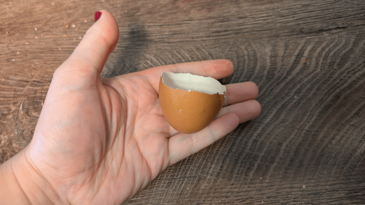 Eine Person hält eine halbe Eierschale auf der flachen Hand.