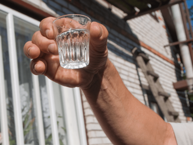 Genialer Trick: Deshalb hilft Wodka gegen nervige Fliegen