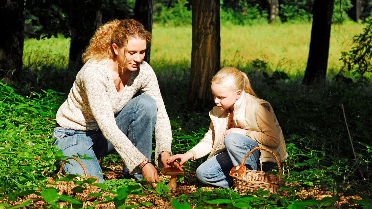 Mutter und Tochter sammeln Pilze im Wald