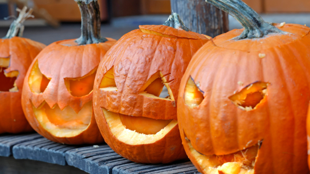 Geschnitzte Halloween-Kürbisse stehen in einer Reihe