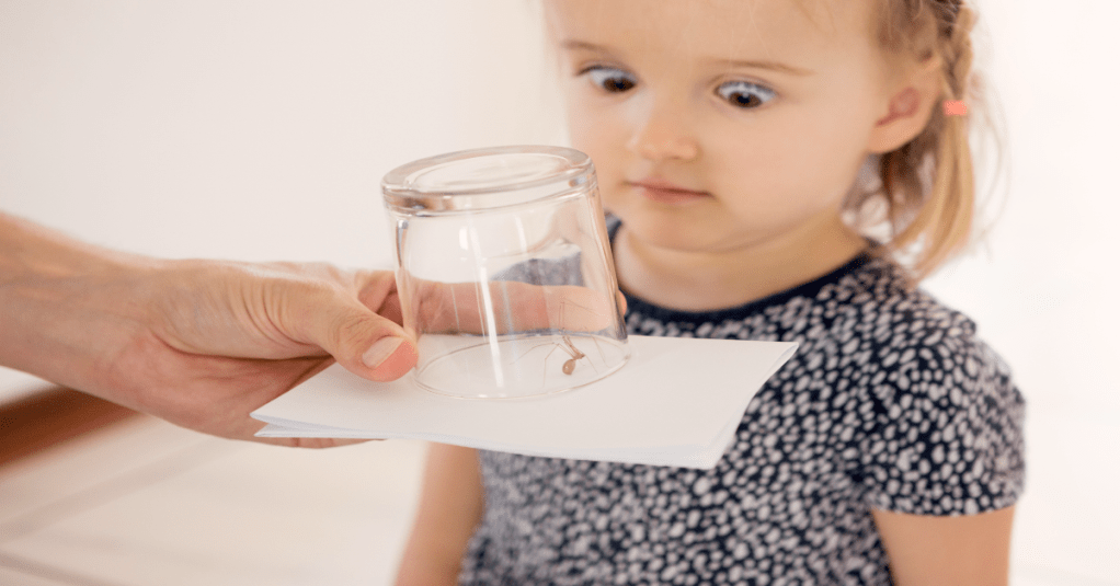 Ein Mädchen schaut skeptisch eine Spinne in einem Glas an.