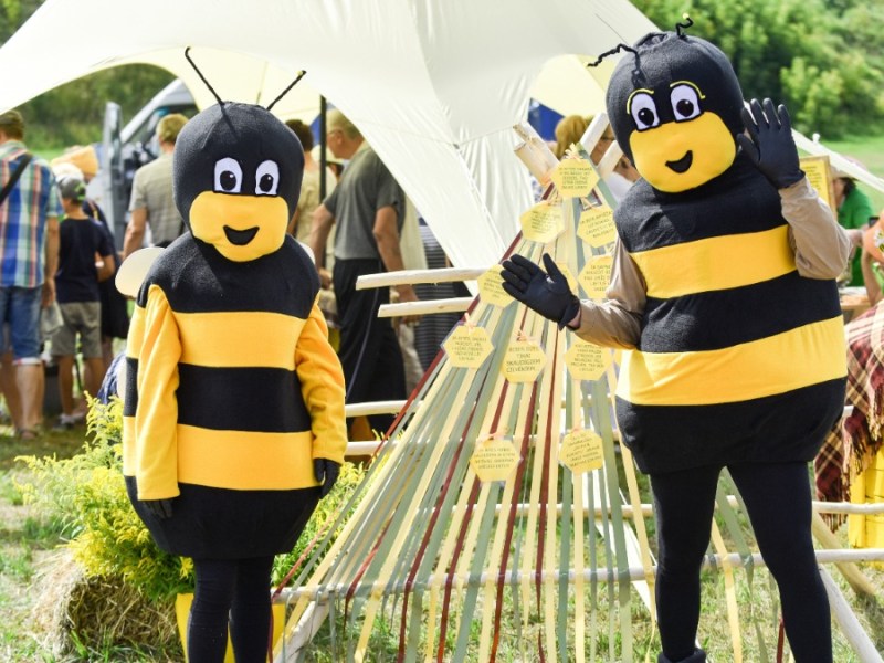 zwei Menschen verkleidet als fleißige Bienen