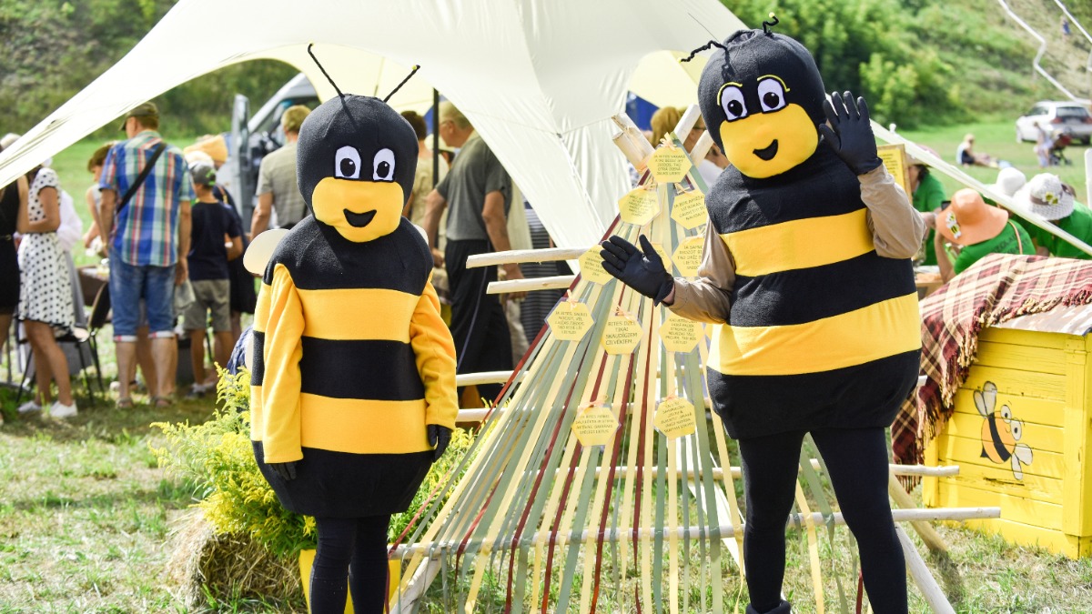 zwei Menschen verkleidet als fleißige Bienen