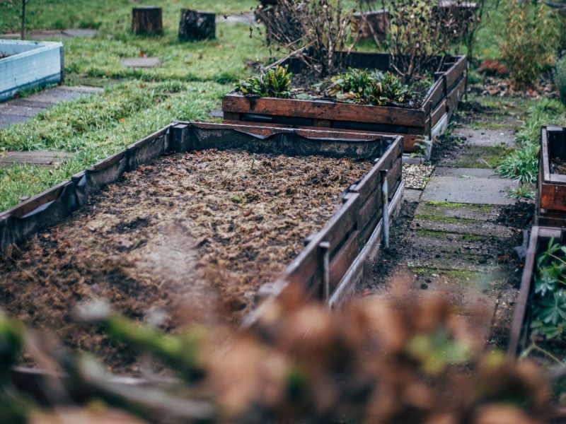 Leere Hochbeete im Garten im Herbst