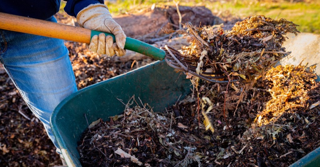 Hochbeet im Herbst: Mit einer Harke wird Laub aus einer Schubkarre gehoben