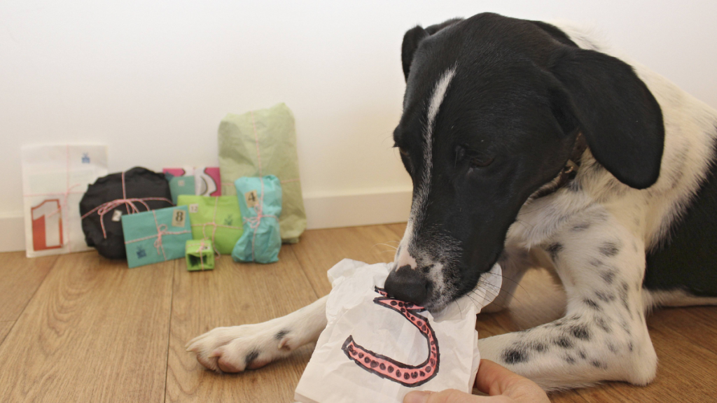 Hunde-Adventskalender, Hund zerbeißt Türchen Nummer 3