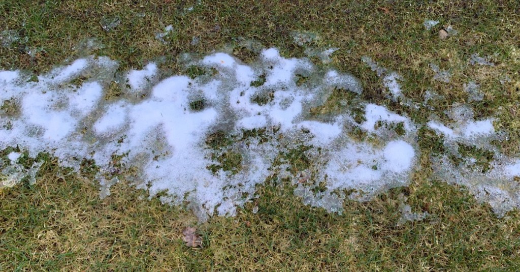 Rasen im Winter mit kleiner Schneedecke