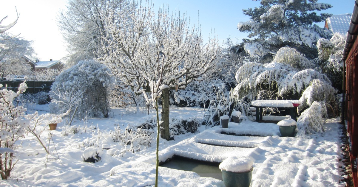 Rasen im Winter: Ein Garten ist von einer dicken Schneeschicht bedeckt