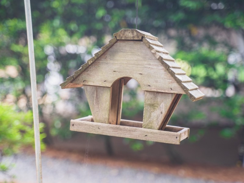 Ein selbstgebautes Vogelhaus hängt an einem Baum.