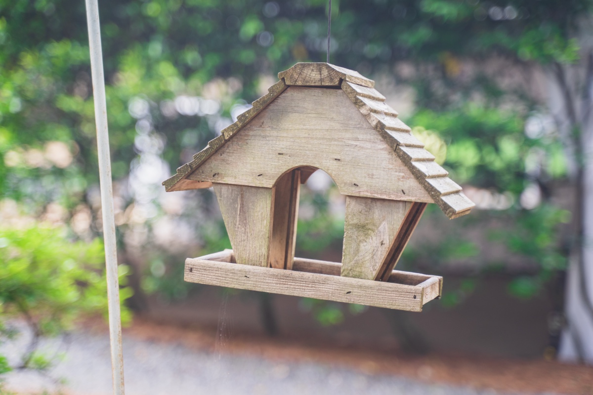 Ein selbstgebautes Vogelhaus hängt an einem Baum.