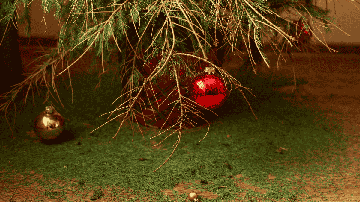 Weihnachtsbaum lÃ¤nger frisch halten