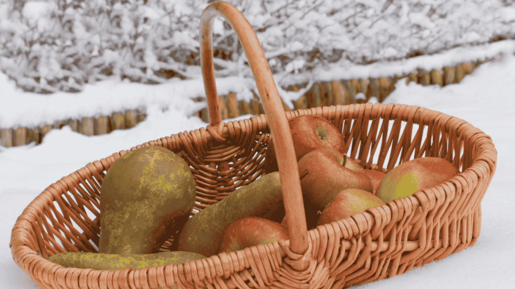 Balkon im Winter nutzen, Lebensmittel draußen lagern, Äpfel in einem Korb im Schnee