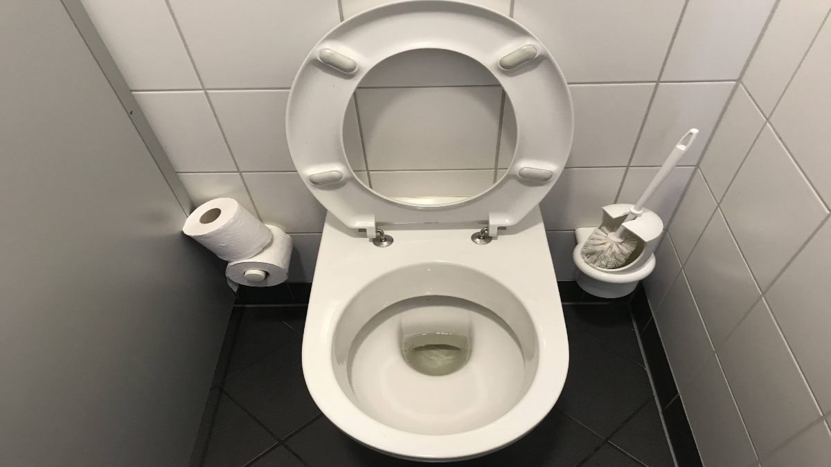 Eine Toilette, daneben Klopapier und ein KlobÃ¼rstenhalter.