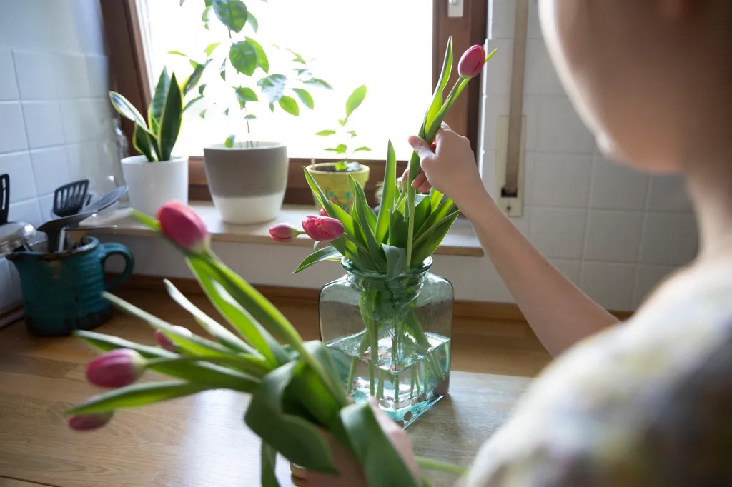 Tulpen in eine Vase stellen.