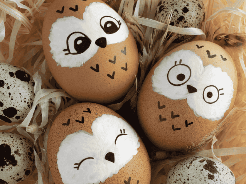 Eier mit Gesicht bemalen, lustige Tiergesichter auf Hühnereiern