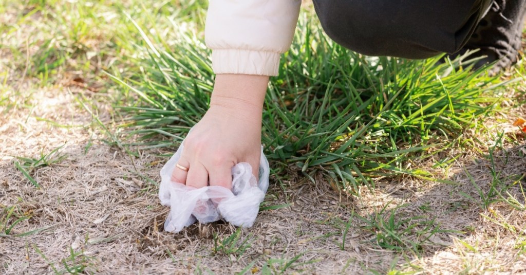 eine Frau hebt mit einer Tüte eine Hundehaufen auf