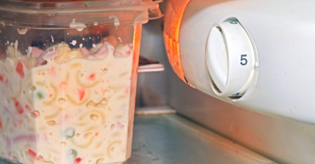 Kühlschrank Temperatur einstellen: ein Salat in einer Aufbewahrungsbox steht neben dem Temperaturregler im Kühlschrank