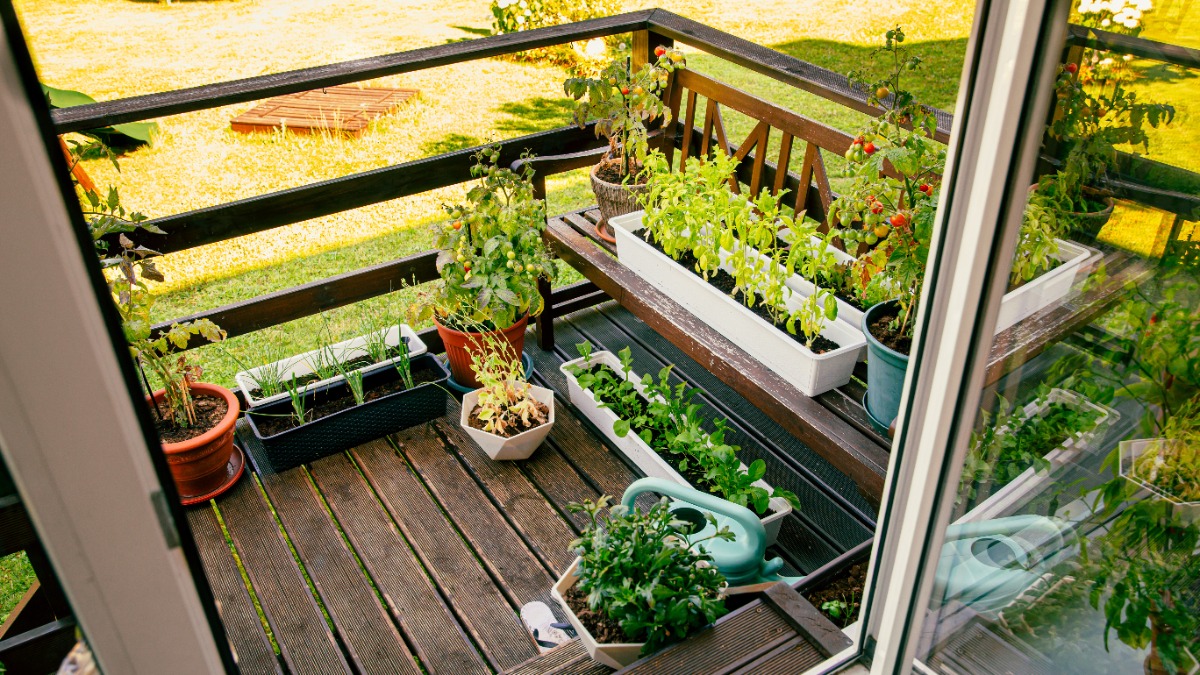 ein sehr kleiner Balkon mit Bepflanzung.
