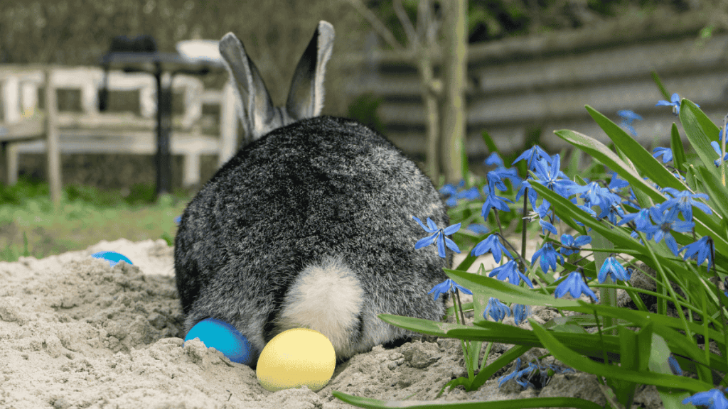 Osterhase legt Ostereier