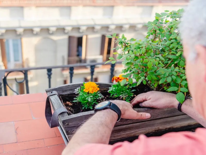 Eine Person arbeitet an einem Blumenkübel.