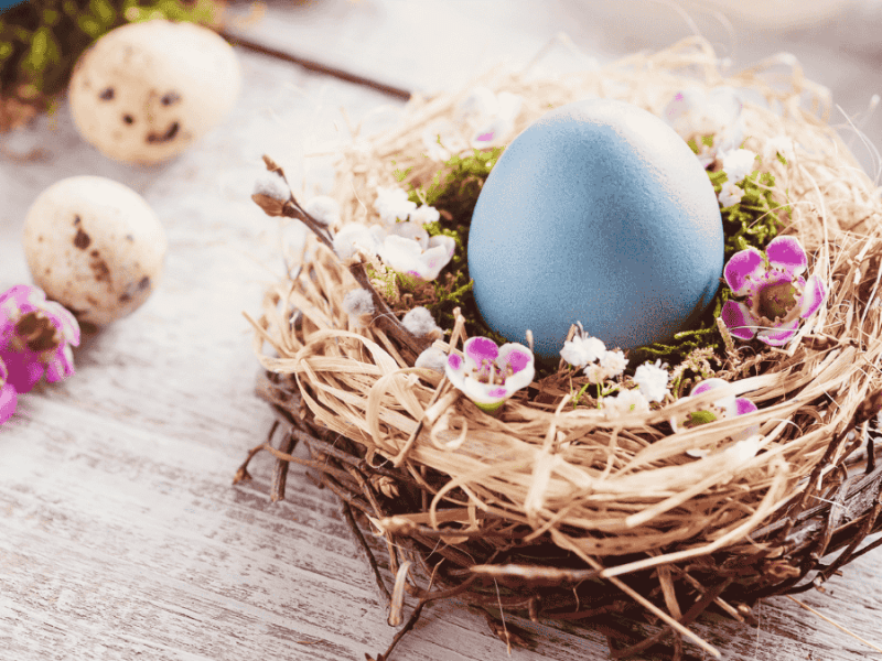 Osternest basteln, Nest mit Ei
