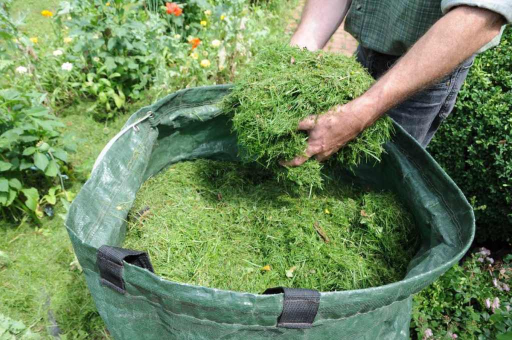 Ein Mann verteilt Rasenschnitt als Mulch auf einem Beet.