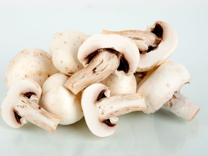 Ein Haufen Champignons.