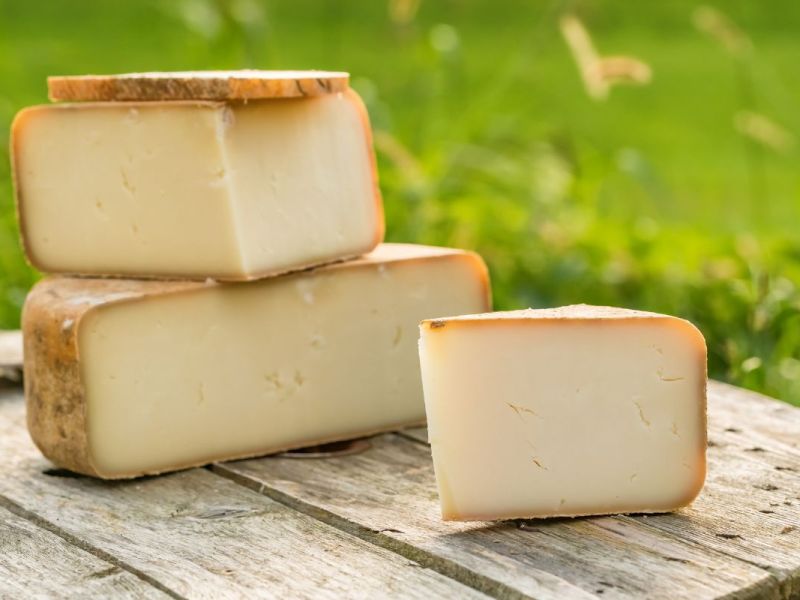 Drei große Stücke Käse stehen auf einem Gartentisch im Freien