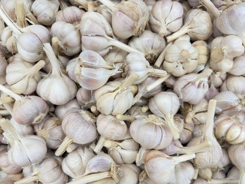 Ein Haufen Knoblauchzehen