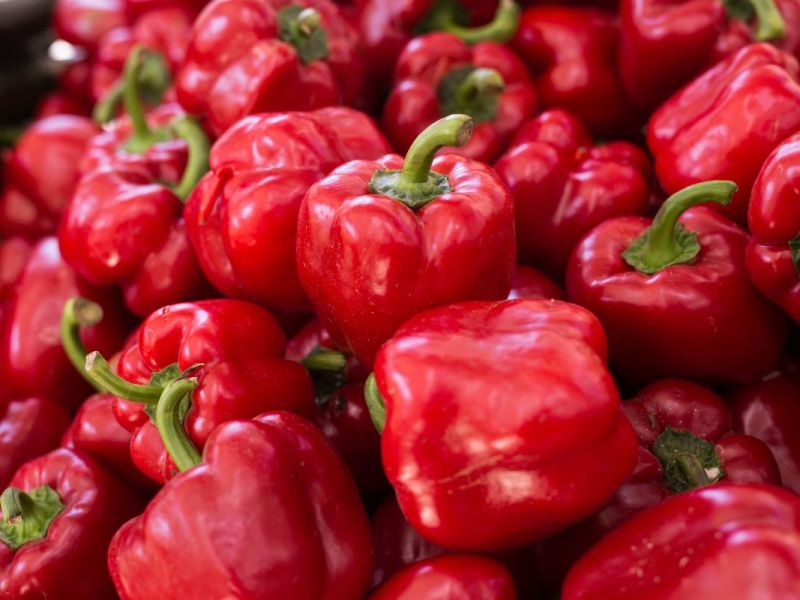 Frische rote Paprika