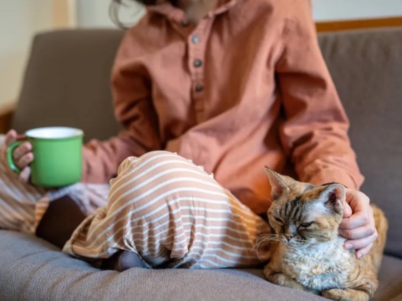 Frau im Schlafanzug auf der Couch mit ihrer Katze.