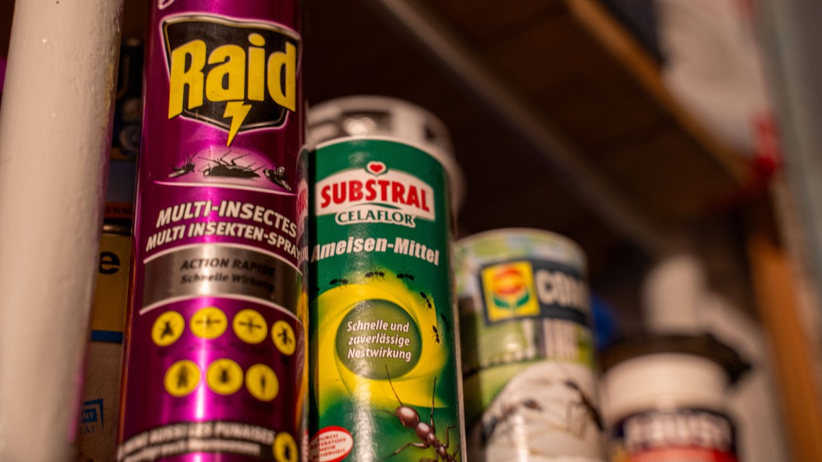 Insektenspray in einem Supermarkt