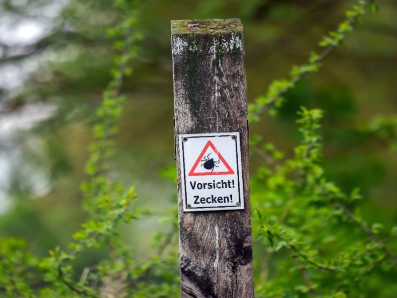 Ein Schild, das über die Gefahr von Zecken aufklärt, an einem Baum.