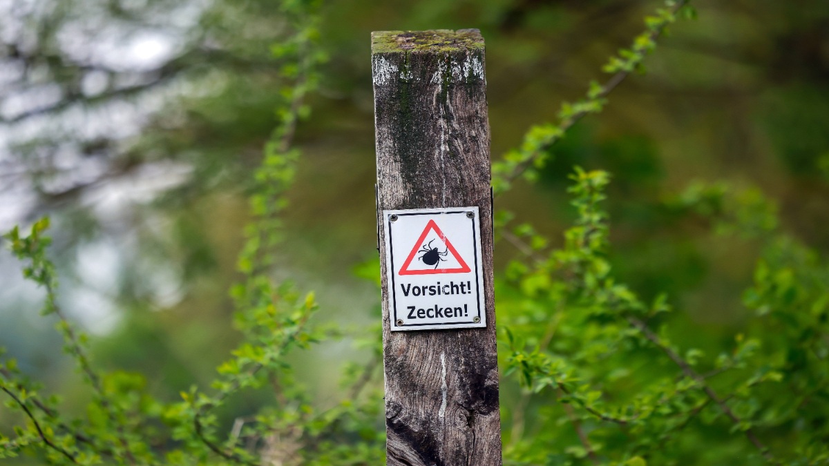 Ein Schild, das über die Gefahr von Zecken aufklärt, an einem Baum.