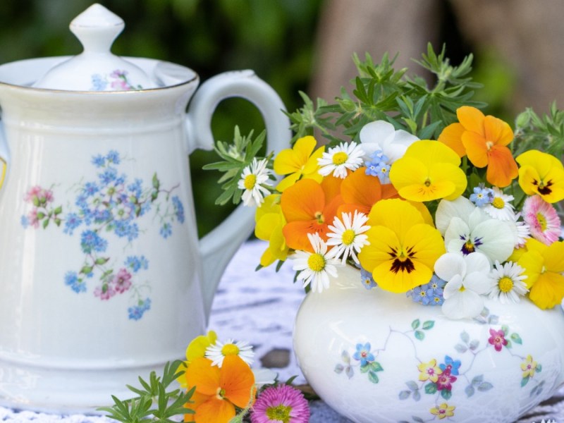 Eine alte Kaffeekanne steht neben einer alten Milchkanne, in die Blümchen gesteckt wurden